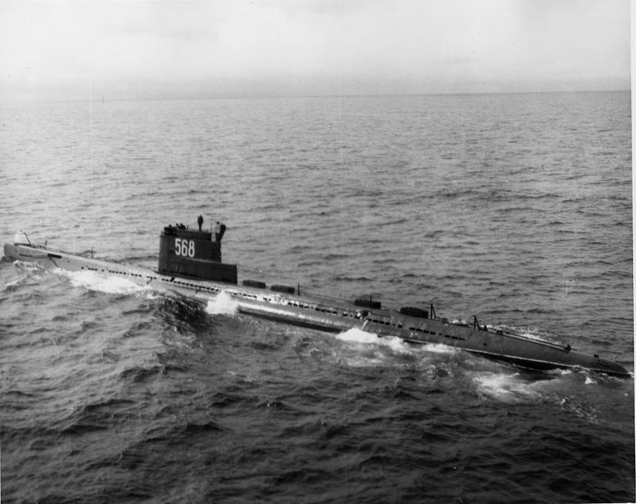 С 296 проекта 613